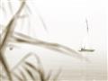 Picture of Sailboat in the Distance _GroupedProduct_Rectangle_Landscape_Photography _GroupedProduct_Rectangle_Landscape_Unframed_Print_Only_