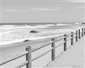 Picture of Beach Fence _GroupedProduct_Rectangle_Landscape_Photography _GroupedProduct_Rectangle_Landscape_Unframed_Print_Only_