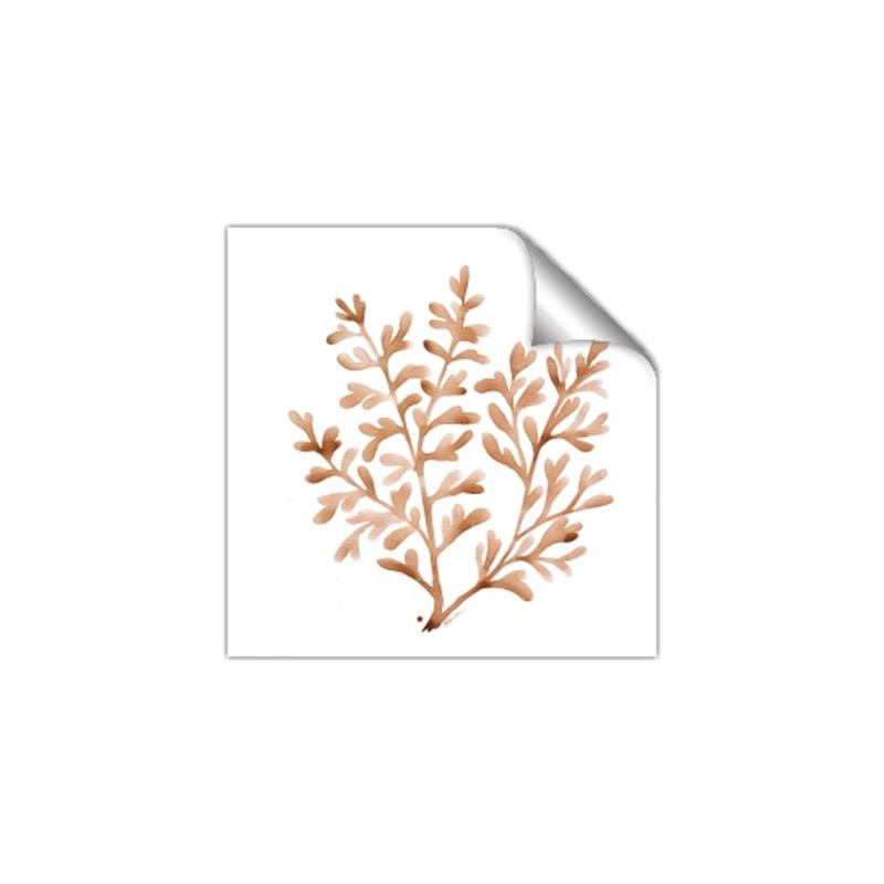 Picture of Orange Coral  _GroupedProduct_Square_Unframed_Print_Only_