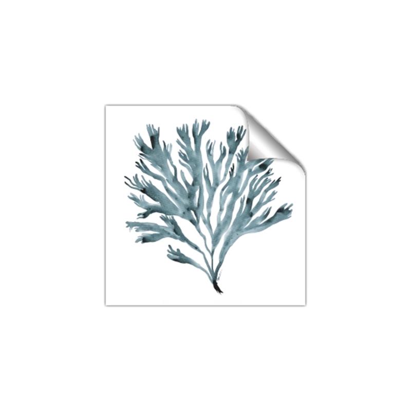 Picture of Teal Coral  _GroupedProduct_Square_Unframed_Print_Only_