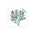 Picture of Teal Coral  _GroupedProduct_Square_Unframed_Print_Only_