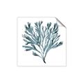 Picture of Teal Coral  _GroupedProduct_Square_Unframed_Print_Only_