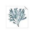Picture of Teal Coral  _GroupedProduct_Square_Unframed_Print_Only_