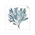 Picture of Teal Coral  _GroupedProduct_Square_Unframed_Print_Only_