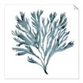 Picture of Teal Coral  _GroupedProduct_Square_Unframed_Print_Only_
