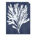 Picture of Navy Coral II  _GroupedProduct_Rectangle_Portrait_Unframed_Print_Only_