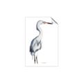 Picture of Egret I  _GroupedProduct_Rectangle_Portrait_Unframed_Print_Only_