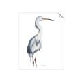 Picture of Egret I  _GroupedProduct_Rectangle_Portrait_Unframed_Print_Only_