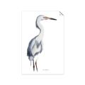 Picture of Egret I  _GroupedProduct_Rectangle_Portrait_Unframed_Print_Only_