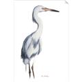 Picture of Egret I  _GroupedProduct_Rectangle_Portrait_Unframed_Print_Only_
