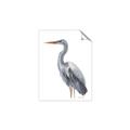 Picture of Egret II  _GroupedProduct_Rectangle_Portrait_Unframed_Print_Only_