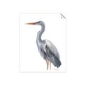 Picture of Egret II  _GroupedProduct_Rectangle_Portrait_Unframed_Print_Only_