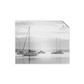 Picture of All the Sails  _GroupedProduct_Rectangle_Landscape_Unframed_Print_Only_