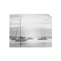 Picture of All the Sails  _GroupedProduct_Rectangle_Landscape_Unframed_Print_Only_