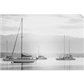 Picture of All the Sails  _GroupedProduct_Rectangle_Landscape_Unframed_Print_Only_