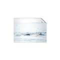 Picture of Seagulls Over the Water _GroupedProduct_Rectangle_Landscape_Photography _GroupedProduct_Rectangle_Landscape_Unframed_Print_Only_