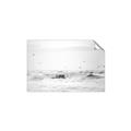 Picture of Seagulls Over the Water _GroupedProduct_Rectangle_Landscape_Photography _GroupedProduct_Rectangle_Landscape_Unframed_Print_Only_