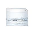 Picture of Seagulls Over the Water _GroupedProduct_Rectangle_Landscape_Photography _GroupedProduct_Rectangle_Landscape_Unframed_Print_Only_