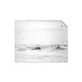 Picture of Seagulls Over the Water _GroupedProduct_Rectangle_Landscape_Photography _GroupedProduct_Rectangle_Landscape_Unframed_Print_Only_