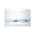 Picture of Seagulls Over the Water _GroupedProduct_Rectangle_Landscape_Photography _GroupedProduct_Rectangle_Landscape_Unframed_Print_Only_