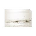 Picture of Seagulls Over the Water _GroupedProduct_Rectangle_Landscape_Photography _GroupedProduct_Rectangle_Landscape_Unframed_Print_Only_