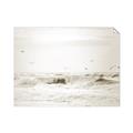 Picture of Seagulls Over the Water _GroupedProduct_Rectangle_Landscape_Photography _GroupedProduct_Rectangle_Landscape_Unframed_Print_Only_
