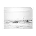 Picture of Seagulls Over the Water _GroupedProduct_Rectangle_Landscape_Photography _GroupedProduct_Rectangle_Landscape_Unframed_Print_Only_