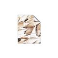 Picture of All the Shells  _GroupedProduct_Rectangle_Portrait_Photography _GroupedProduct_Rectangle_Portrait_Unframed_Print_Only_