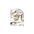 Picture of All the Shells  _GroupedProduct_Rectangle_Portrait_Photography _GroupedProduct_Rectangle_Portrait_Unframed_Print_Only_