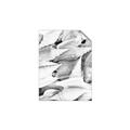 Picture of All the Shells  _GroupedProduct_Rectangle_Portrait_Photography _GroupedProduct_Rectangle_Portrait_Unframed_Print_Only_