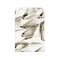 Picture of All the Shells  _GroupedProduct_Rectangle_Portrait_Photography _GroupedProduct_Rectangle_Portrait_Unframed_Print_Only_