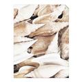Picture of All the Shells  _GroupedProduct_Rectangle_Portrait_Photography _GroupedProduct_Rectangle_Portrait_Unframed_Print_Only_