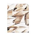 Picture of All the Shells  _GroupedProduct_Rectangle_Portrait_Photography _GroupedProduct_Rectangle_Portrait_Unframed_Print_Only_