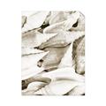Picture of All the Shells  _GroupedProduct_Rectangle_Portrait_Photography _GroupedProduct_Rectangle_Portrait_Unframed_Print_Only_