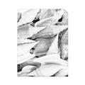 Picture of All the Shells  _GroupedProduct_Rectangle_Portrait_Photography _GroupedProduct_Rectangle_Portrait_Unframed_Print_Only_