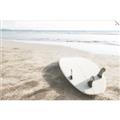Picture of Surfboard on the Sand _GroupedProduct_Rectangle_Landscape_Photography _GroupedProduct_Rectangle_Landscape_Unframed_Print_Only_