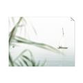 Picture of Sailboat in the Distance _GroupedProduct_Rectangle_Landscape_Photography _GroupedProduct_Rectangle_Landscape_Unframed_Print_Only_