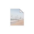 Picture of Beach Birds _GroupedProduct_Rectangle_Portrait_Photography _GroupedProduct_Rectangle_Portrait_Unframed_Print_Only_
