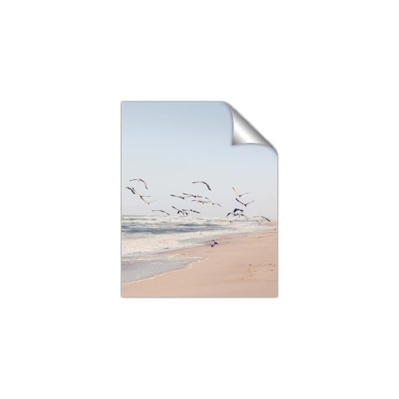 Picture of Beach Birds _GroupedProduct_Rectangle_Portrait_Photography _GroupedProduct_Rectangle_Portrait_Unframed_Print_Only_