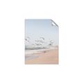 Picture of Beach Birds _GroupedProduct_Rectangle_Portrait_Photography _GroupedProduct_Rectangle_Portrait_Unframed_Print_Only_