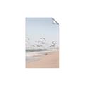 Picture of Beach Birds _GroupedProduct_Rectangle_Portrait_Photography _GroupedProduct_Rectangle_Portrait_Unframed_Print_Only_