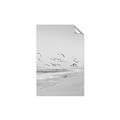 Picture of Beach Birds _GroupedProduct_Rectangle_Portrait_Photography _GroupedProduct_Rectangle_Portrait_Unframed_Print_Only_