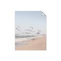 Picture of Beach Birds _GroupedProduct_Rectangle_Portrait_Photography _GroupedProduct_Rectangle_Portrait_Unframed_Print_Only_