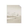 Picture of Beach Birds _GroupedProduct_Rectangle_Portrait_Photography _GroupedProduct_Rectangle_Portrait_Unframed_Print_Only_