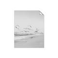 Picture of Beach Birds _GroupedProduct_Rectangle_Portrait_Photography _GroupedProduct_Rectangle_Portrait_Unframed_Print_Only_