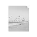 Picture of Beach Birds _GroupedProduct_Rectangle_Portrait_Photography _GroupedProduct_Rectangle_Portrait_Unframed_Print_Only_
