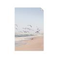 Picture of Beach Birds _GroupedProduct_Rectangle_Portrait_Photography _GroupedProduct_Rectangle_Portrait_Unframed_Print_Only_