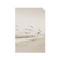 Picture of Beach Birds _GroupedProduct_Rectangle_Portrait_Photography _GroupedProduct_Rectangle_Portrait_Unframed_Print_Only_