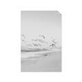 Picture of Beach Birds _GroupedProduct_Rectangle_Portrait_Photography _GroupedProduct_Rectangle_Portrait_Unframed_Print_Only_