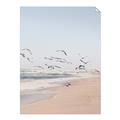 Picture of Beach Birds _GroupedProduct_Rectangle_Portrait_Photography _GroupedProduct_Rectangle_Portrait_Unframed_Print_Only_